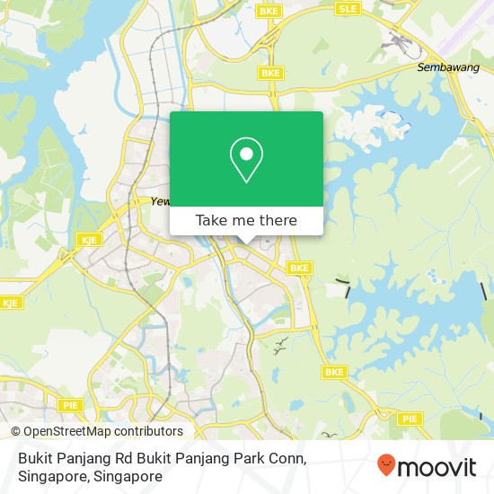 Bukit Panjang Rd Bukit Panjang Park Conn, Singapore地图