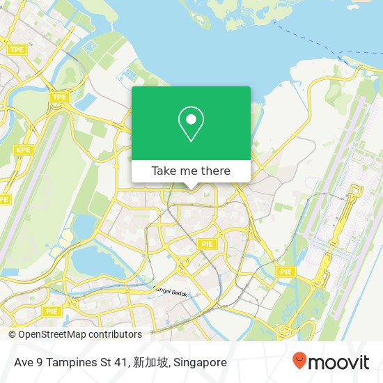 Ave 9 Tampines St 41, 新加坡地图