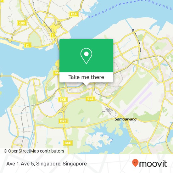 Ave 1 Ave 5, Singapore地图