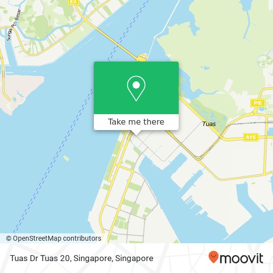 Tuas Dr Tuas 20, Singapore地图