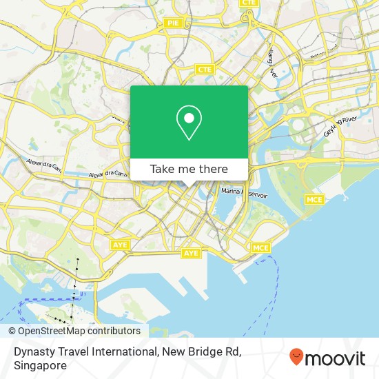Dynasty Travel International, New Bridge Rd地图