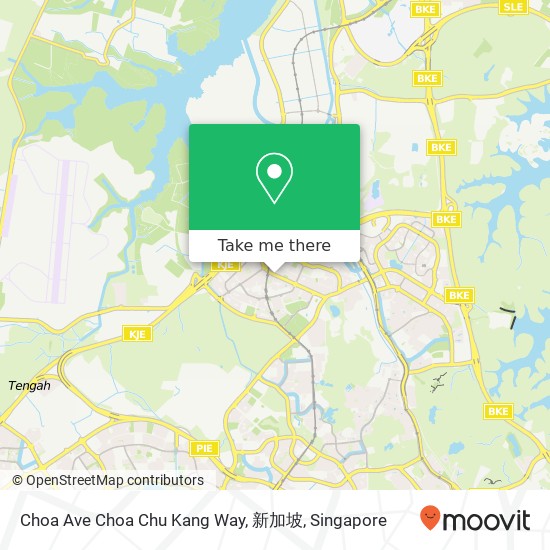Choa Ave Choa Chu Kang Way, 新加坡地图