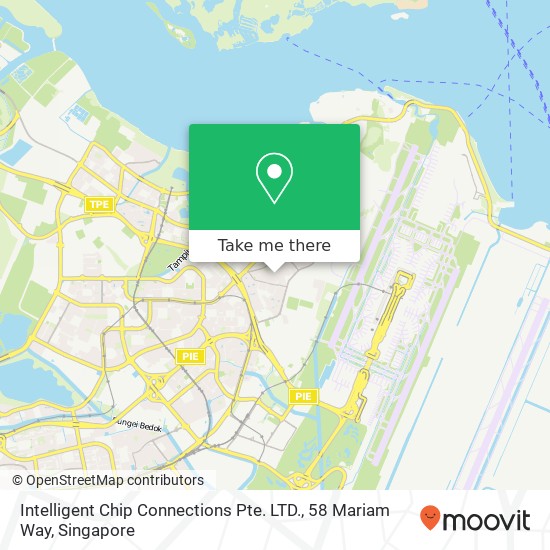 Intelligent Chip Connections Pte. LTD., 58 Mariam Way map