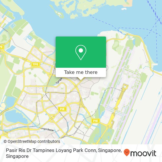 Pasir Ris Dr Tampines Loyang Park Conn, Singapore地图