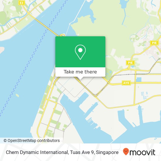 Chem Dynamic International, Tuas Ave 9 map