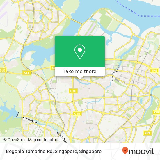 Begonia Tamarind Rd, Singapore map