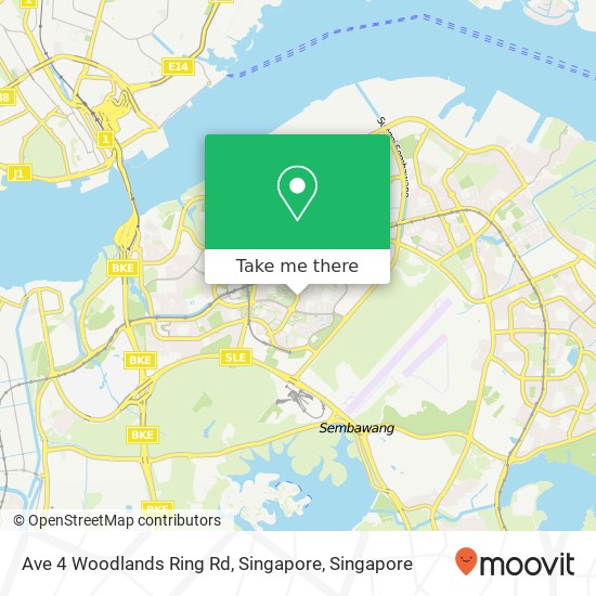 Ave 4 Woodlands Ring Rd, Singapore map