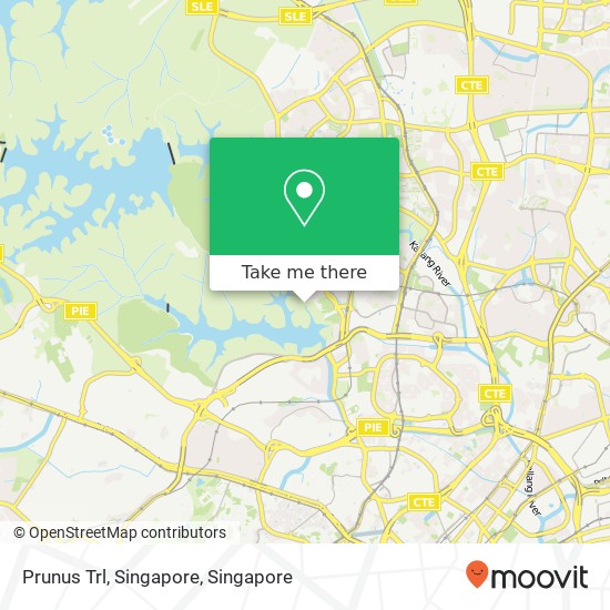 Prunus Trl, Singapore map