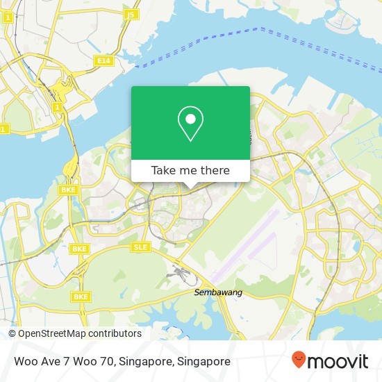 Woo Ave 7 Woo 70, Singapore map