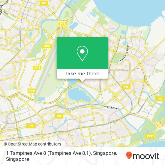 1 Tampines Ave 8 (Tampines Ave 8,1), Singapore地图