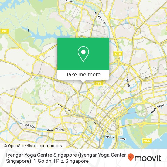 Iyengar Yoga Centre Singapore (Iyengar Yoga Center Singapore), 1 Goldhill Plz map