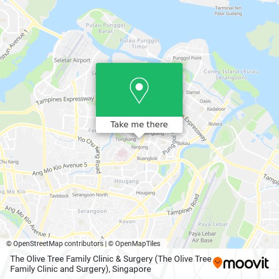 The Olive Tree Family Clinic & Surgery map