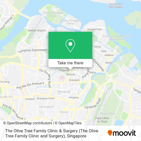 The Olive Tree Family Clinic & Surgery map