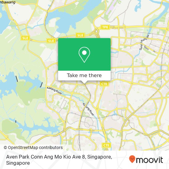 Aven Park Conn Ang Mo Kio Ave 8, Singapore地图