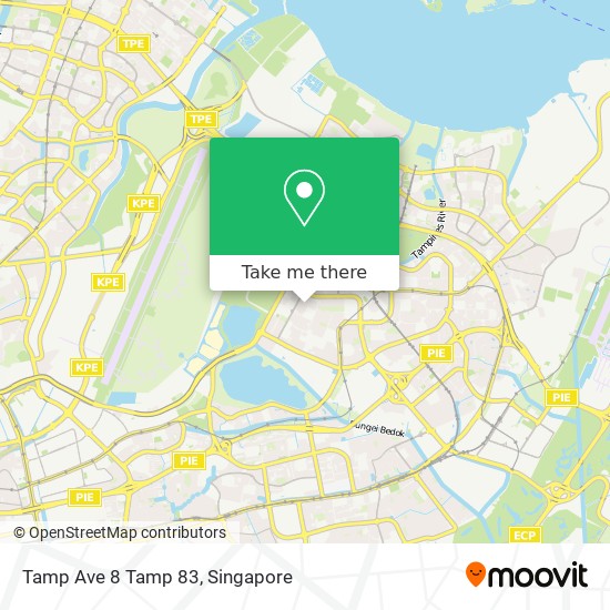 Tamp Ave 8 Tamp 83 map