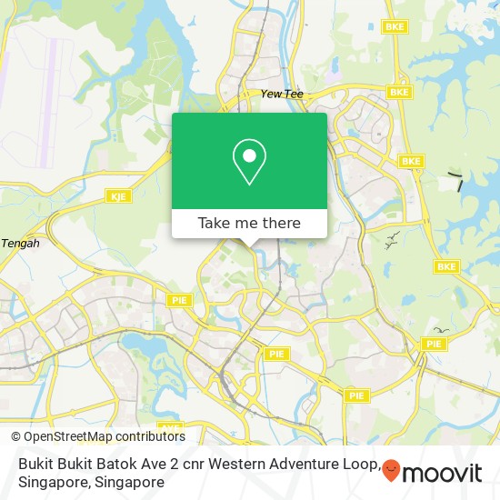 Bukit Bukit Batok Ave 2 cnr Western Adventure Loop, Singapore地图