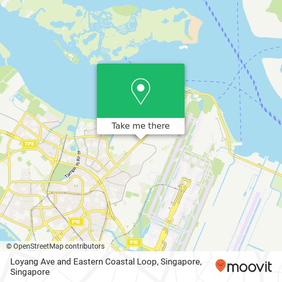 Loyang Ave and Eastern Coastal Loop, Singapore map