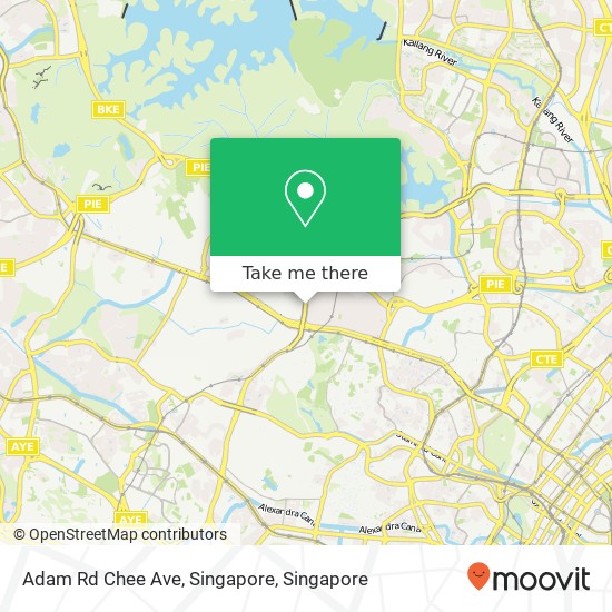 Adam Rd Chee Ave, Singapore地图