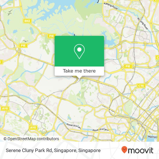 Serene Cluny Park Rd, Singapore地图