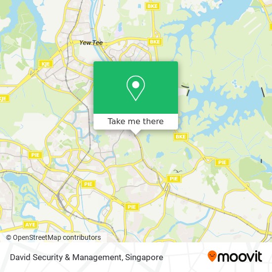 David Security & Management map