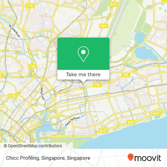 Chicc Profiling, Singapore地图