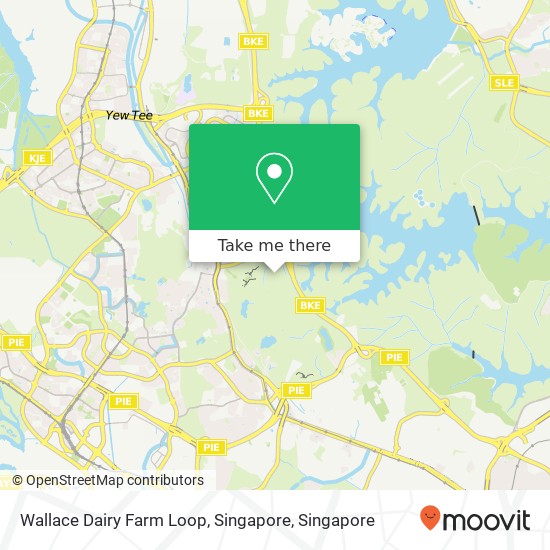 Wallace Dairy Farm Loop, Singapore地图