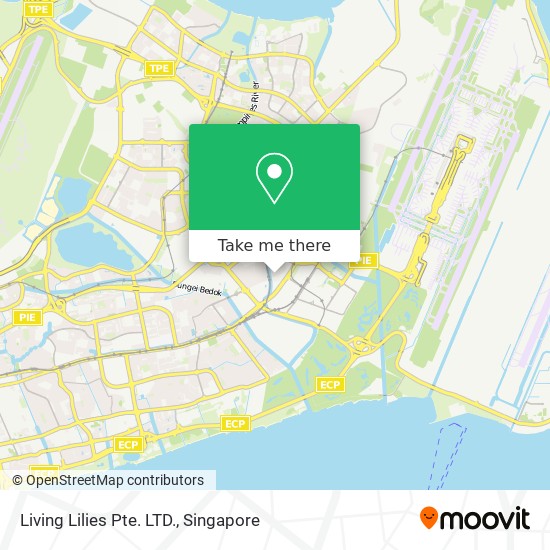 Living Lilies Pte. LTD.地图