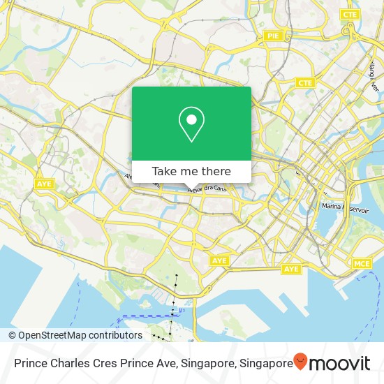 Prince Charles Cres Prince Ave, Singapore map