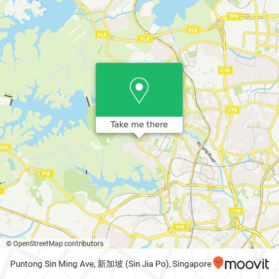 Puntong Sin Ming Ave, 新加坡 (Sin Jia Po)地图