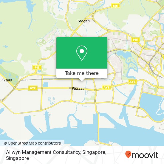 Allwyn Management Consultancy, Singapore map