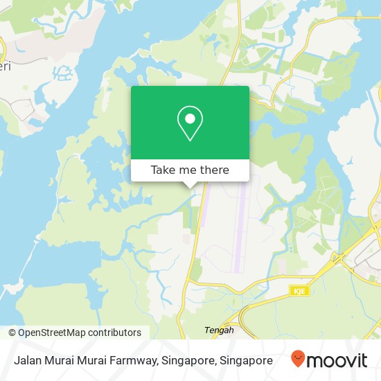 Jalan Murai Murai Farmway, Singapore地图