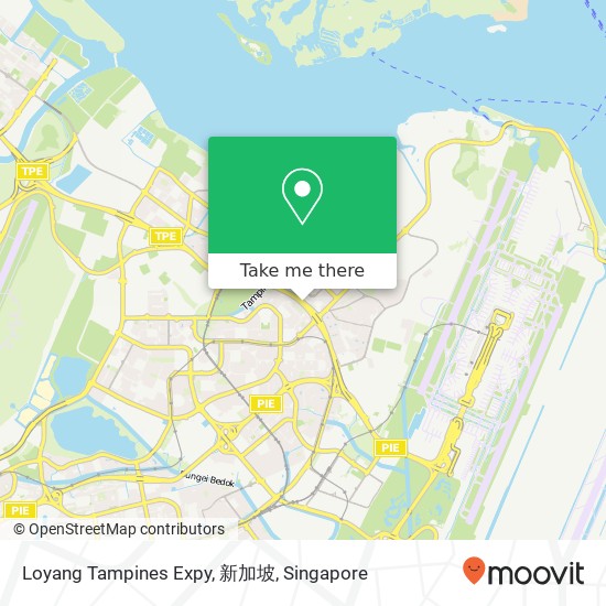 Loyang Tampines Expy, 新加坡地图