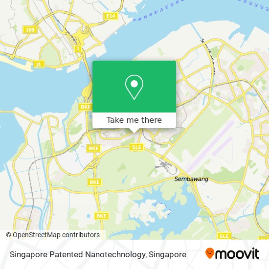 Singapore Patented Nanotechnology map