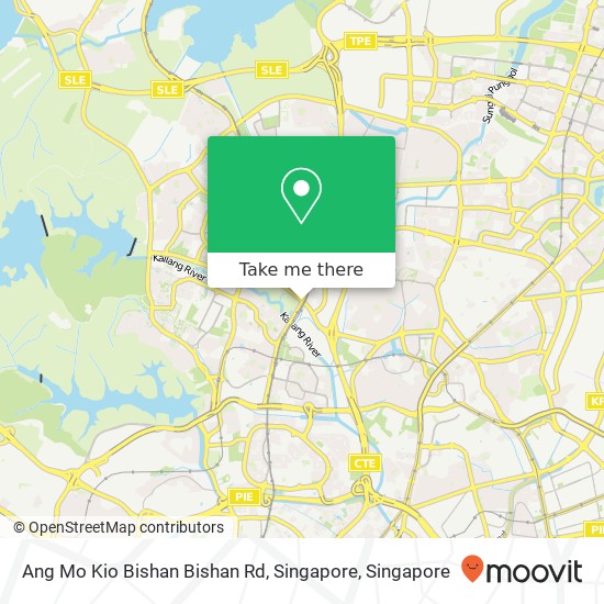 Ang Mo Kio Bishan Bishan Rd, Singapore地图