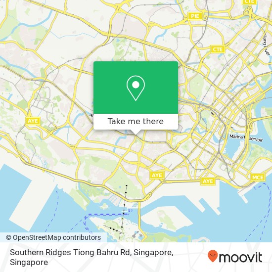 Southern Ridges Tiong Bahru Rd, Singapore map