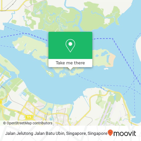 Jalan Jelutong Jalan Batu Ubin, Singapore地图