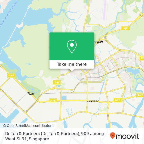 Dr Tan & Partners (Dr. Tan & Partners), 909 Jurong West St 91 map