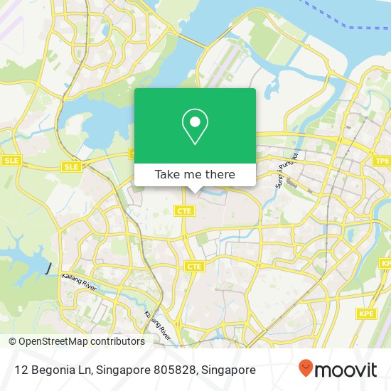12 Begonia Ln, Singapore 805828地图