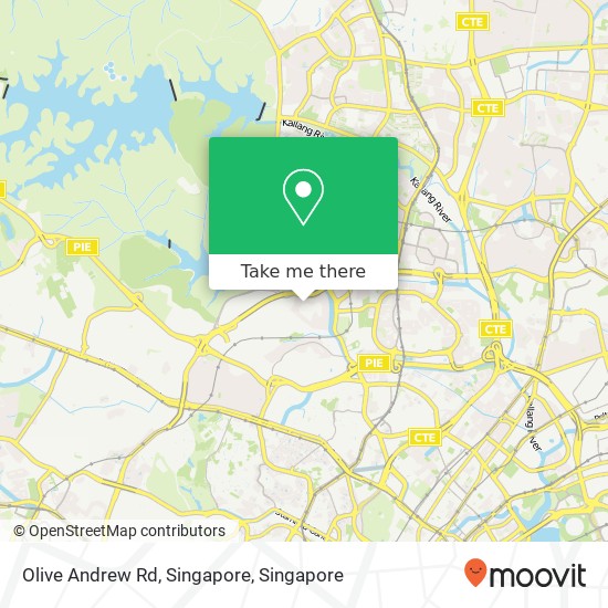 Olive Andrew Rd, Singapore地图