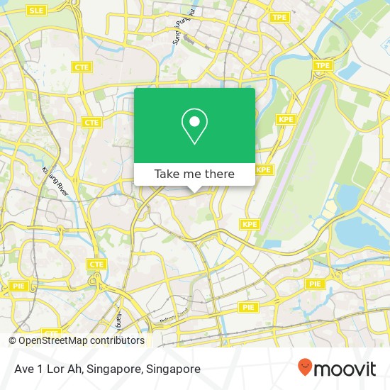 Ave 1 Lor Ah, Singapore map