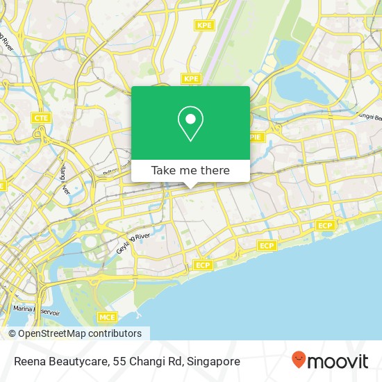 Reena Beautycare, 55 Changi Rd地图