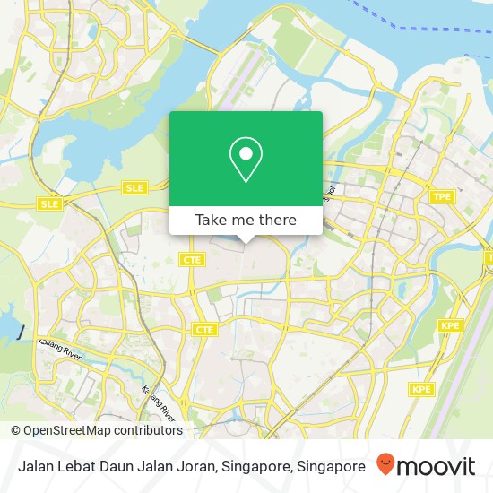 Jalan Lebat Daun Jalan Joran, Singapore地图