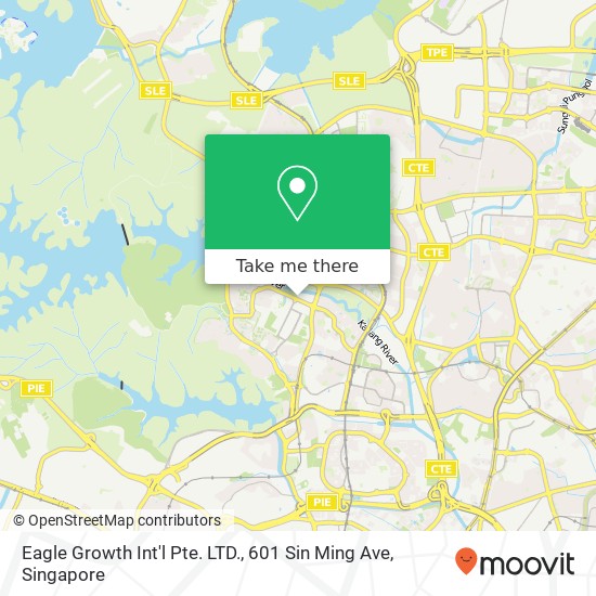 Eagle Growth Int'l Pte. LTD., 601 Sin Ming Ave地图