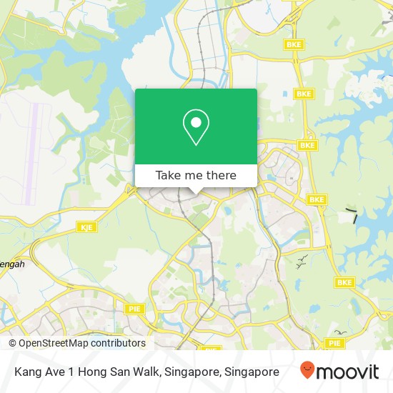 Kang Ave 1 Hong San Walk, Singapore地图