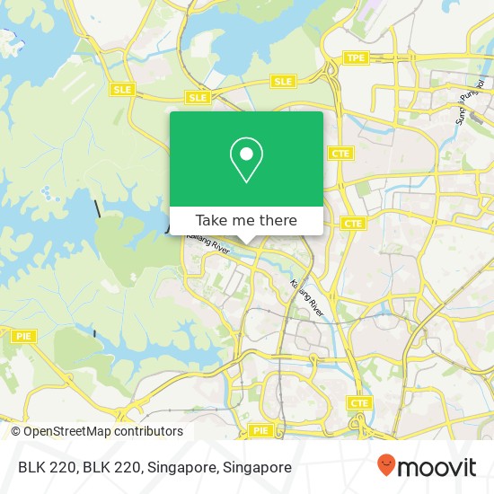BLK 220, BLK 220, Singapore map
