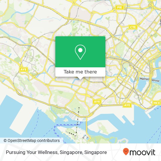 Pursuing Your Wellness, Singapore map