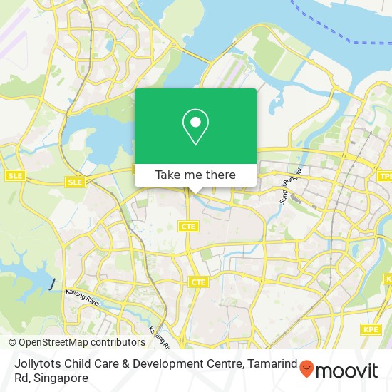 Jollytots Child Care & Development Centre, Tamarind Rd地图