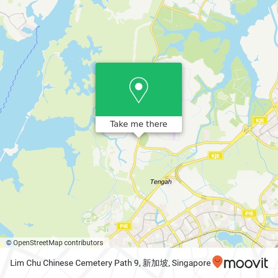 Lim Chu Chinese Cemetery Path 9, 新加坡地图