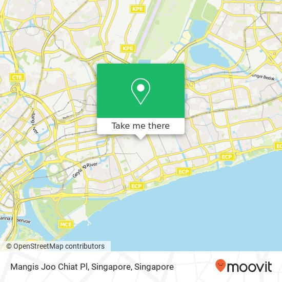 Mangis Joo Chiat Pl, Singapore map