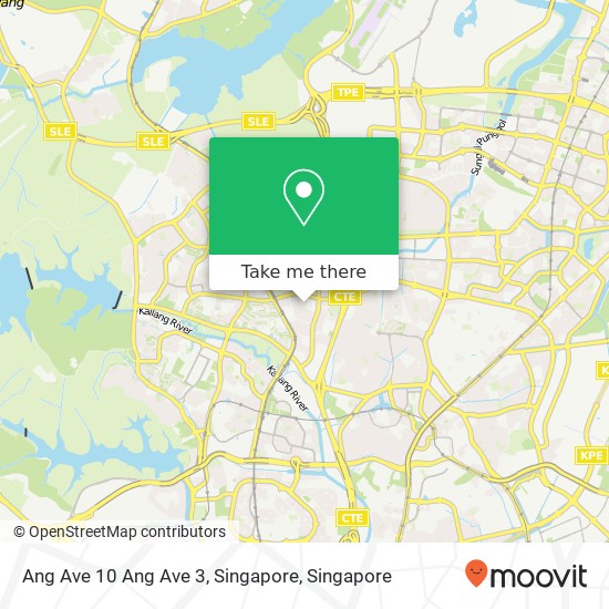 Ang Ave 10 Ang Ave 3, Singapore map